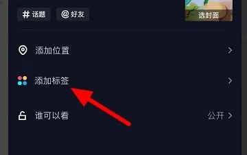 抖音上照片上的標(biāo)簽如何添加？