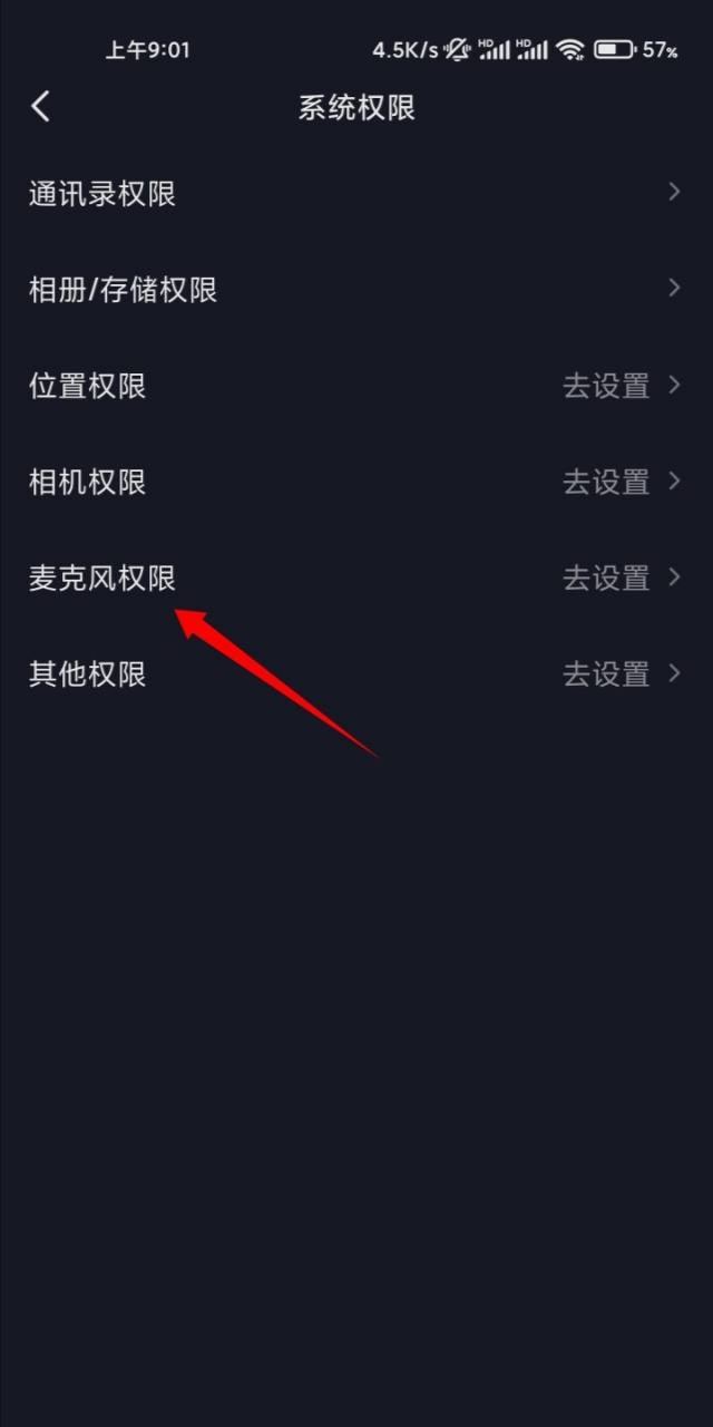 抖音拍視頻怎么打開麥克風？