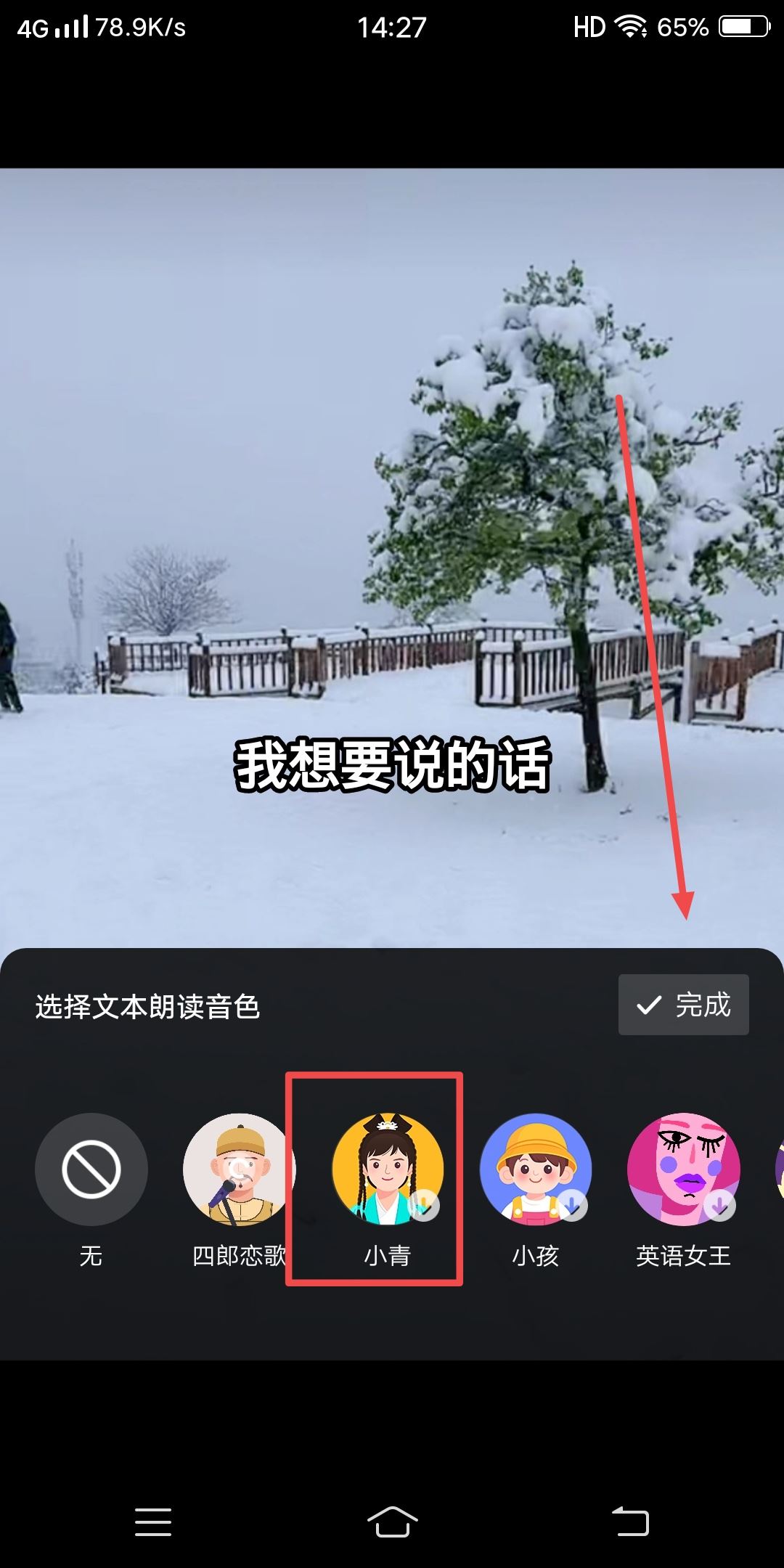 抖音發(fā)視頻怎么配自己想說的話？