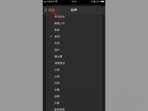 蘋果怎么設置抖音鬧鐘鈴聲？